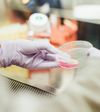 �з����ļ�ʷ��Ч��